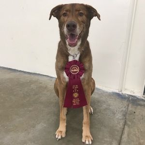 Meet your Posher, Stacy